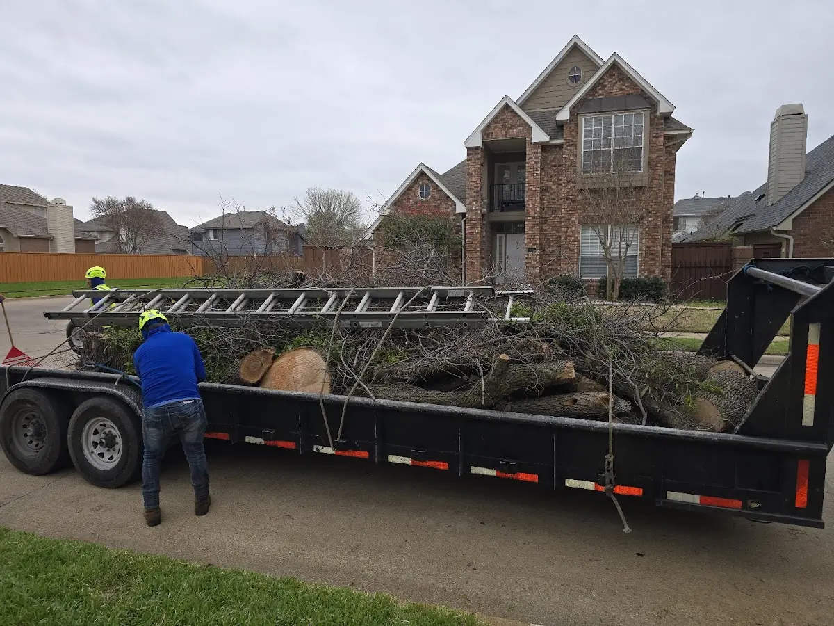 Expert Tree Fertilization with proper safety equipment in Chester